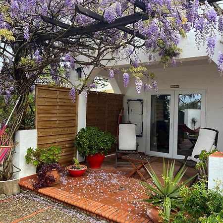 Arriba Stijlvol Appartement Met Zwembad En Tuin Conil De La Frontera Ngoại thất bức ảnh