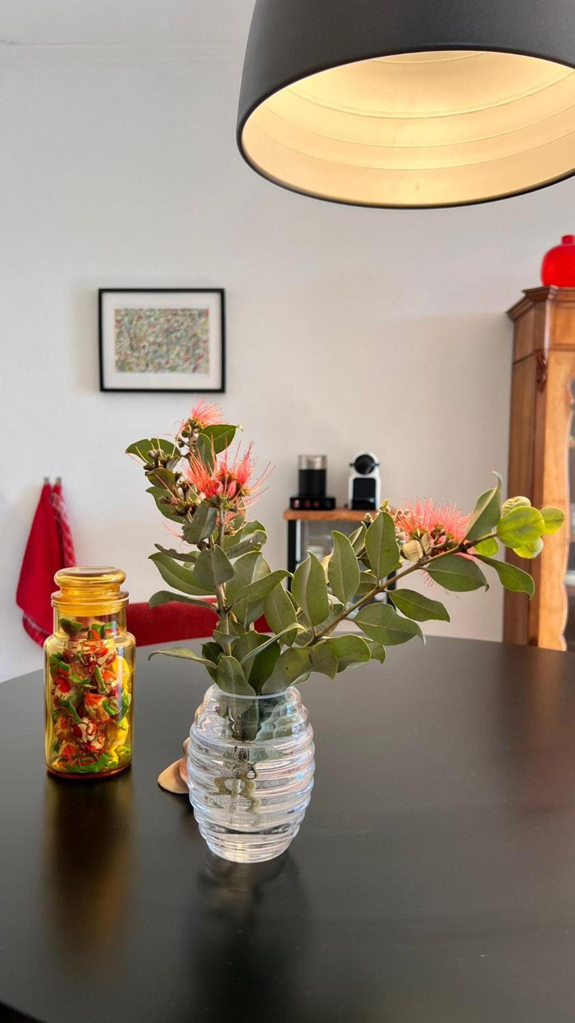 Arriba Stijlvol Appartement Met Zwembad En Tuin Conil De La Frontera Ngoại thất bức ảnh