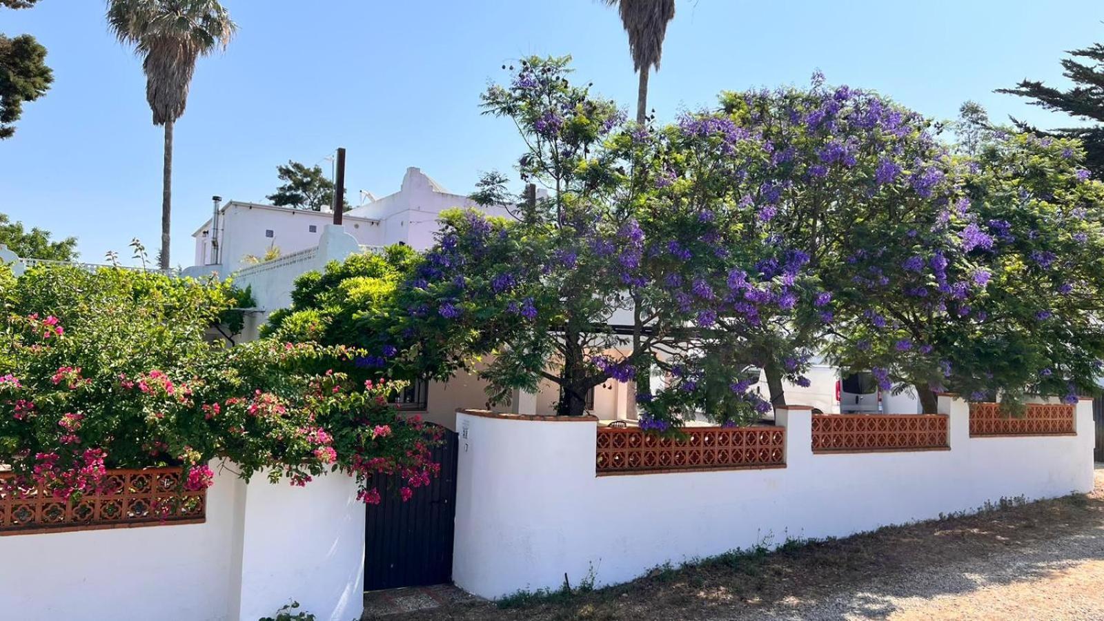 Arriba Stijlvol Appartement Met Zwembad En Tuin Conil De La Frontera Ngoại thất bức ảnh