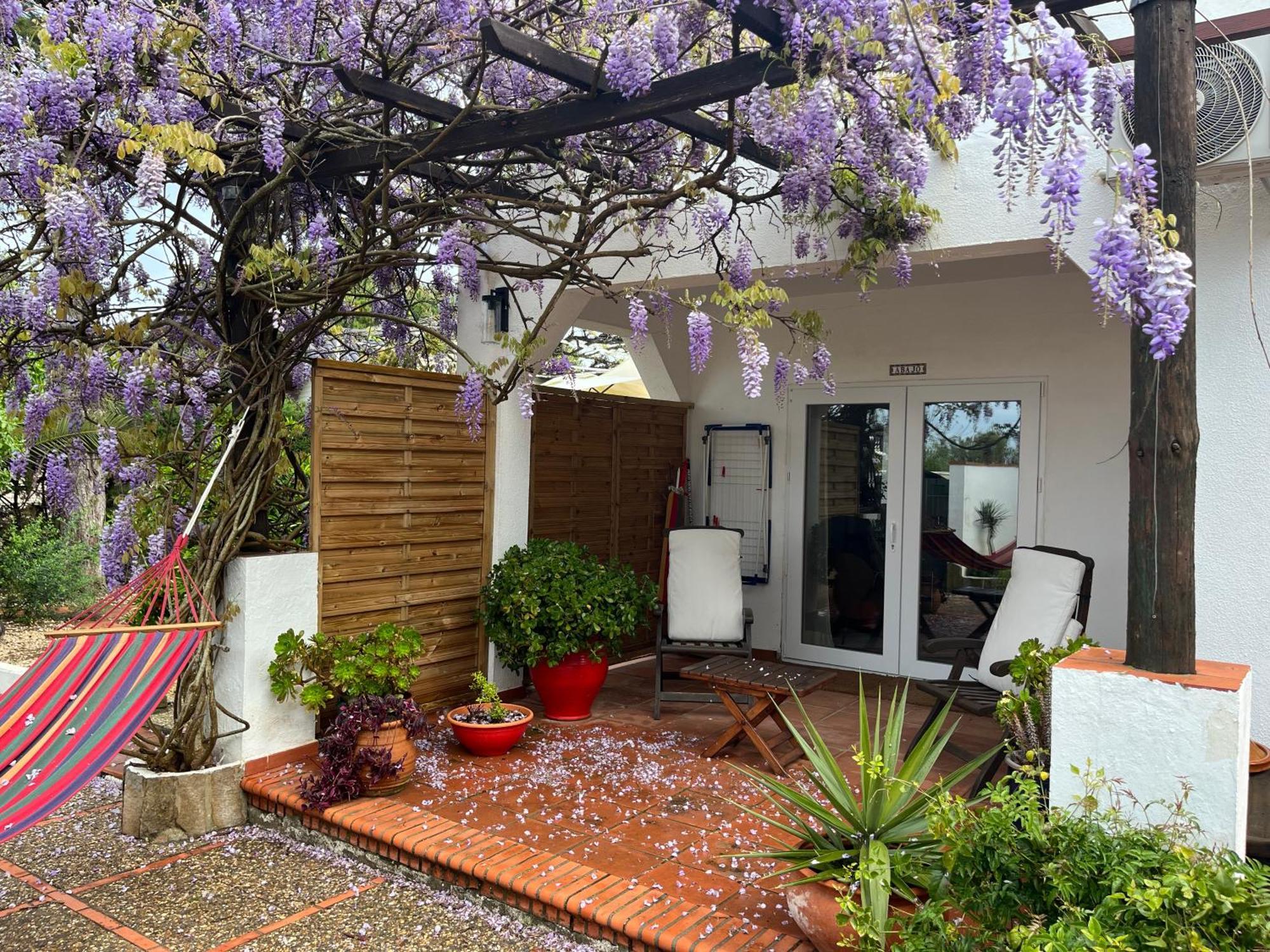 Arriba Stijlvol Appartement Met Zwembad En Tuin Conil De La Frontera Ngoại thất bức ảnh